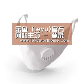 N95 口罩