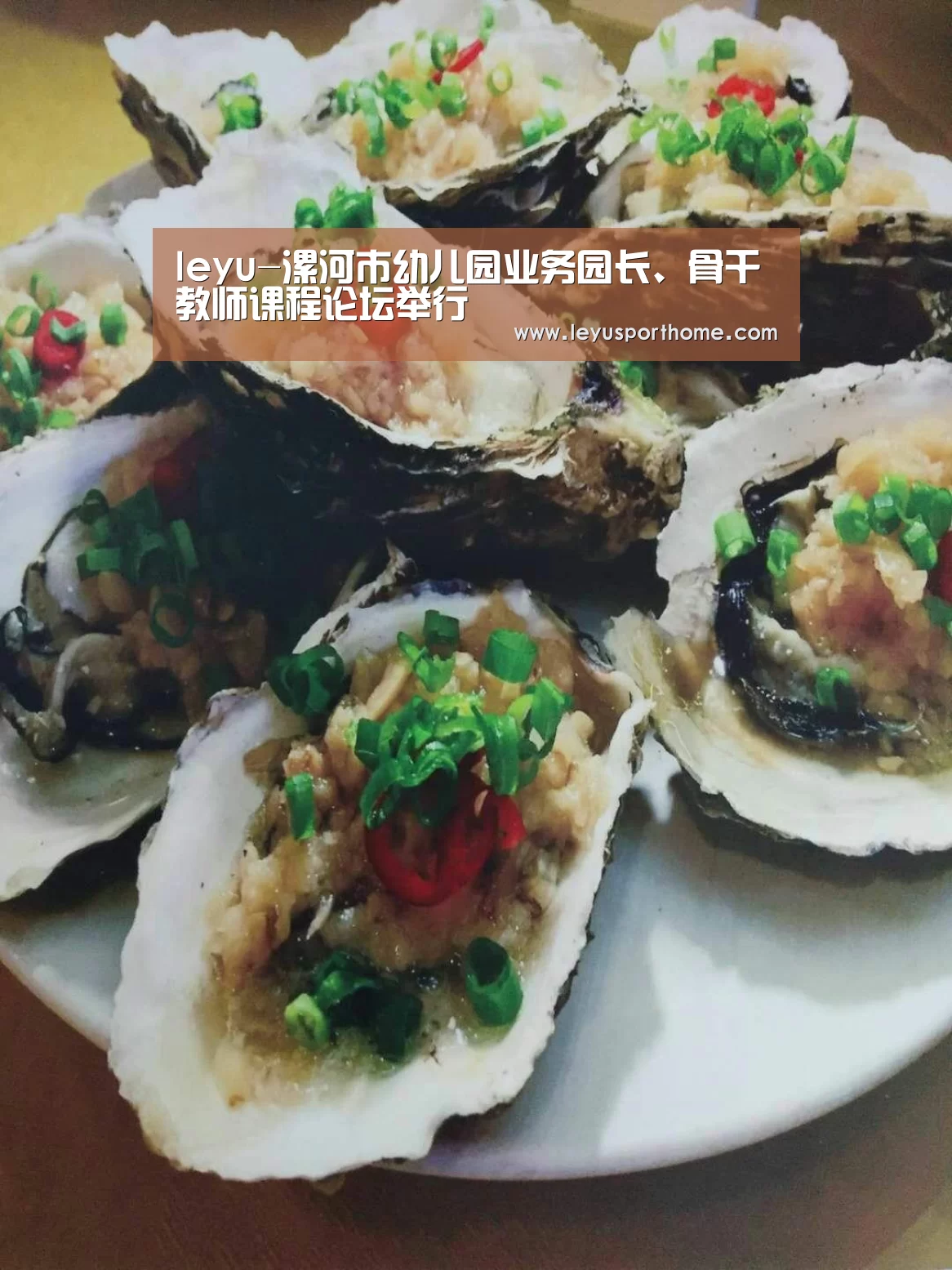 乐鱼入口