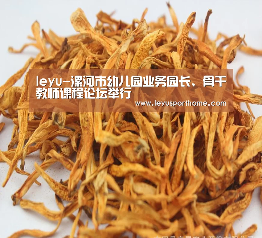 leyu-漯河市幼儿园业务园长、骨干教师课程论坛举行(图4)