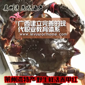 乐鱼登陆入口