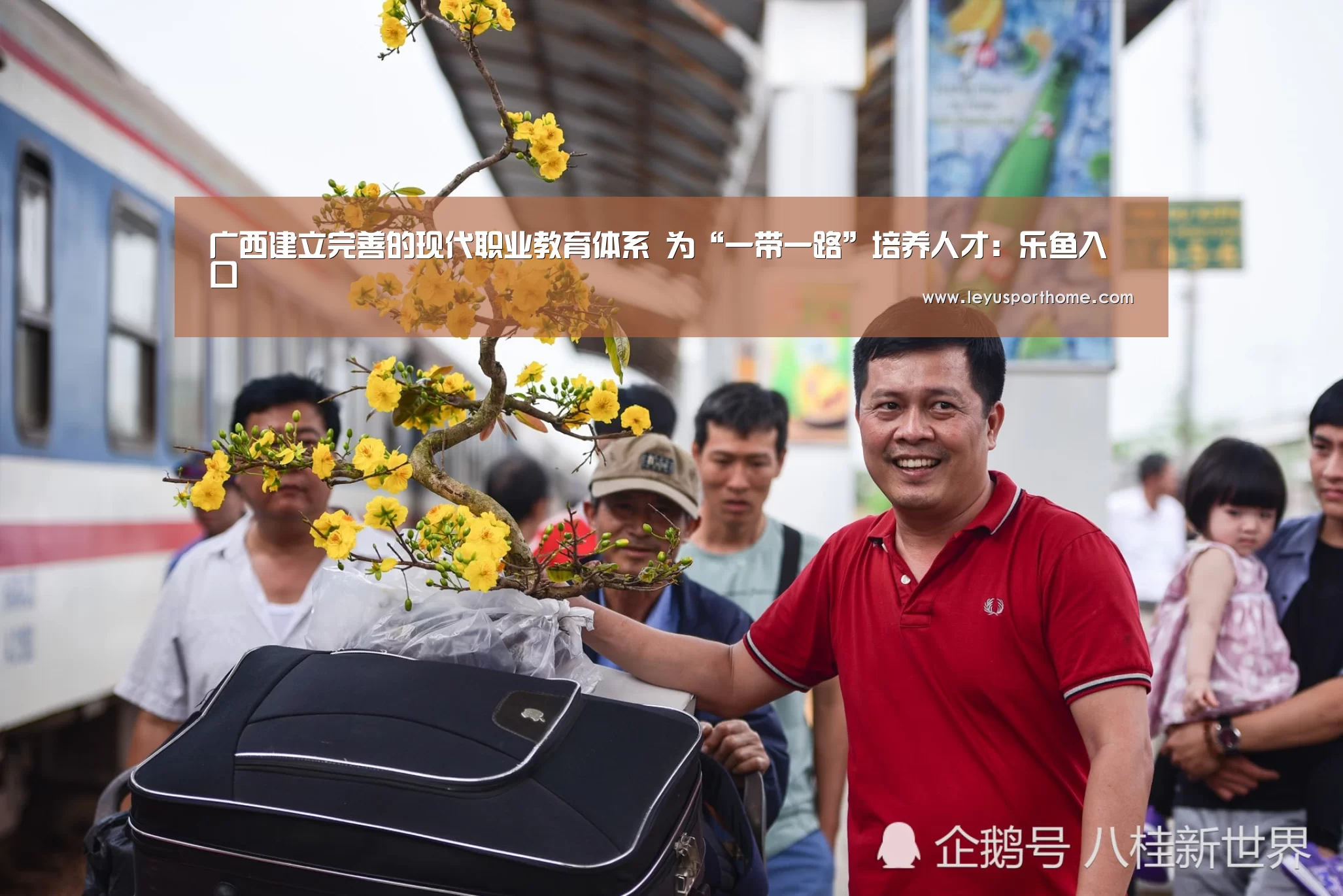 乐鱼官网